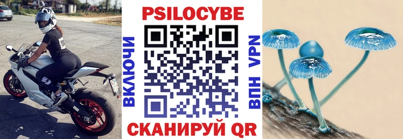 Купить закладки  Болохово  Псилоцибиновые грибы GOLDEN TEACHER 
