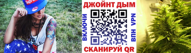 Канабис VHQ  Купить закладки  Болохово 